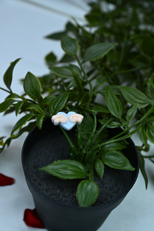 Cute Angel Heart Wing Earrings