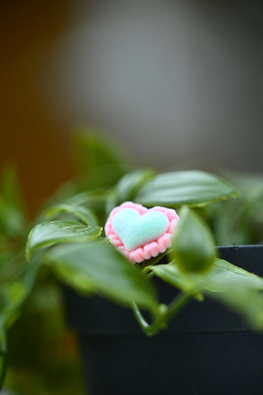 Pastel Heart Stud Earrings