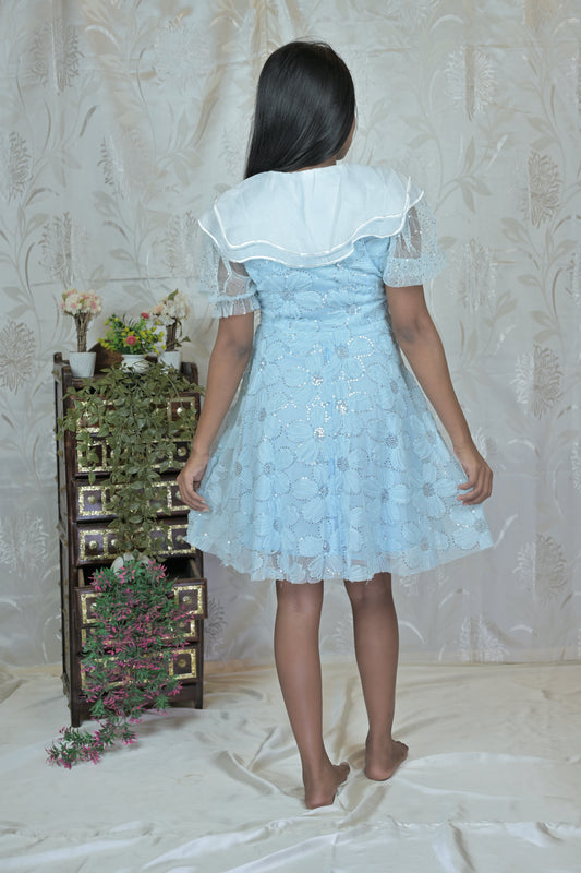 Floral Net A-Line Dress with Ruffle Collar