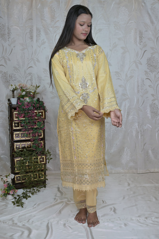 Sparkling Net Occasion Wear