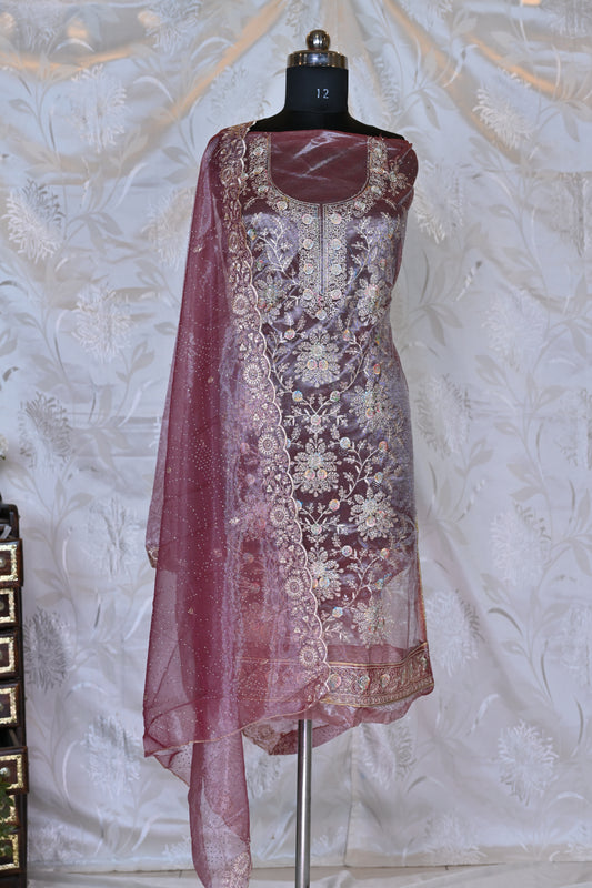 Opulent Organza Suit Sets with Exquisite Thread Embroidery