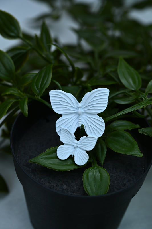 Ivory flutter Earrings