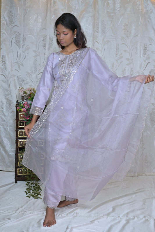 Sheer Elegance Embroidered Organza Suit