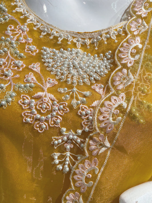 Opulent Embroidered Organza Ethnic Set