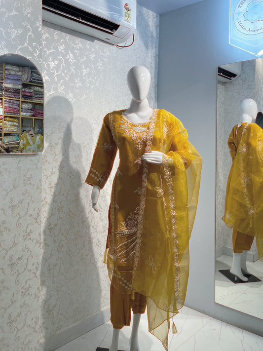 Opulent Embroidered Organza Ethnic Set